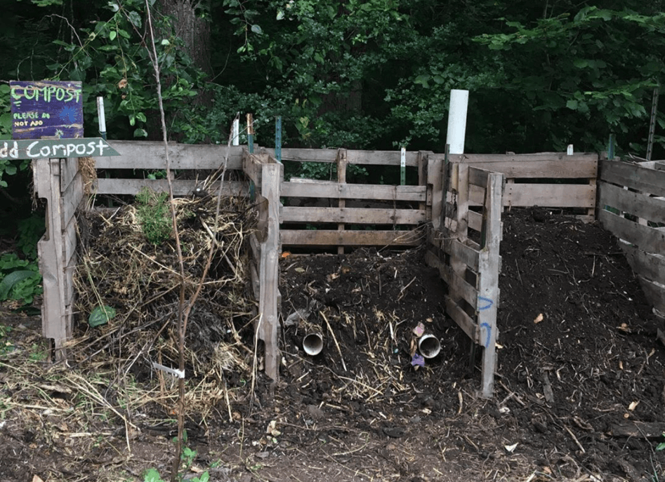 Picture of compost