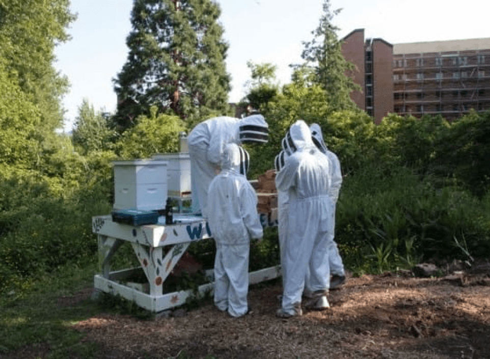 students in bee suits standing around a wooden bee hive