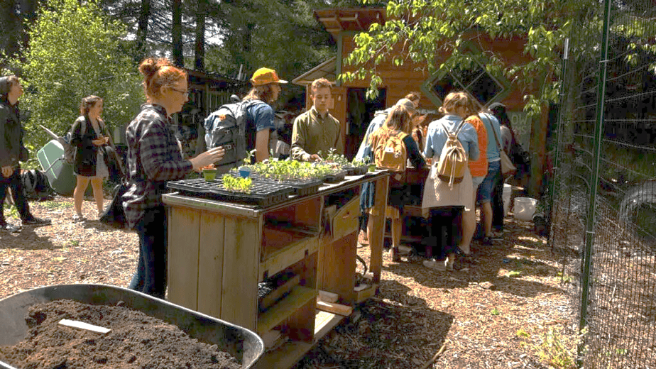 Picture students standing at planting table