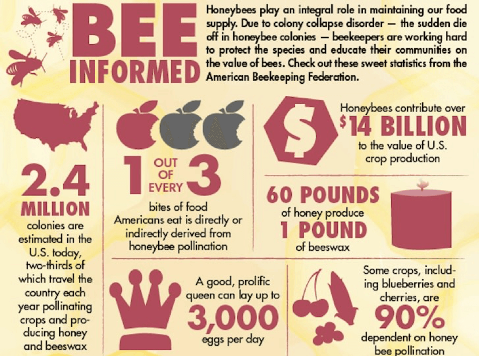 bee informed picture
