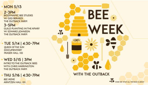 Bee Week with the outback