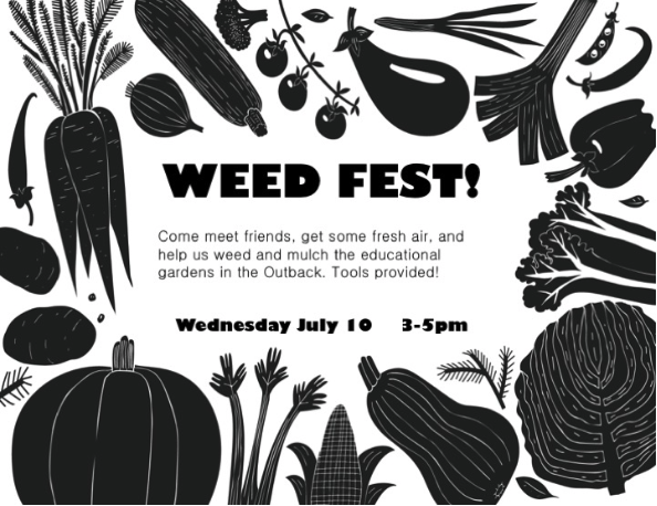 Weed Fest come help pull weeds in the outback