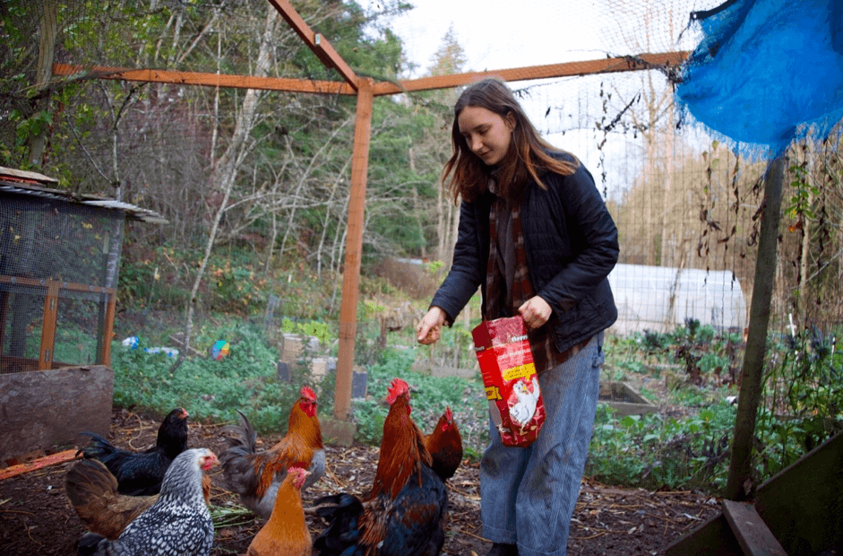 Picture student with chickens