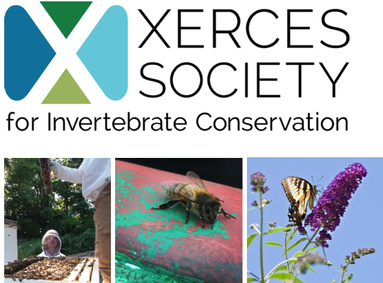xerces society logo and pic of bees
