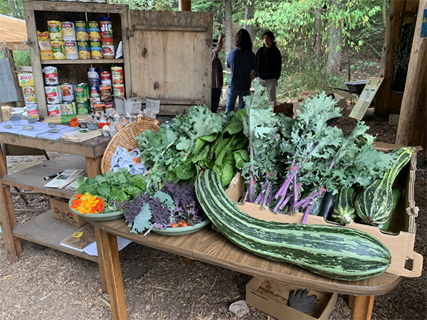 Tables loaded with fresh kale, spinach and big green squash next to small shelves with stacked canned vegitables and fruits