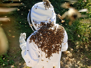 a student in a bee keeper suit swarmed by bees