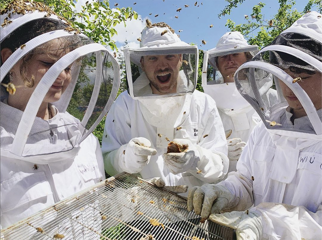 four people in white beekeeper suits are covered in honey bees while working on the hive