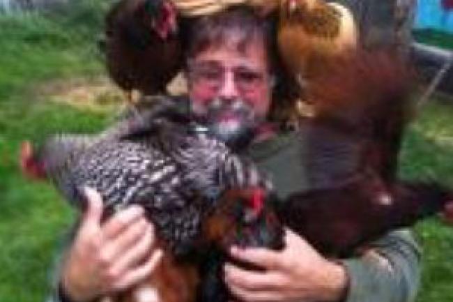 Person sitting in chair with chickens sitting on their lap, shoulders and top of the head