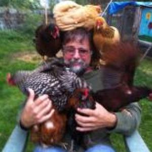 Person sitting in chair with chickens sitting on their lap, shoulders and top of the head
